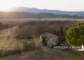 Rustico Città della Pieve - foto 9