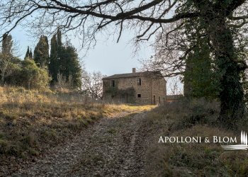 Rustico Città della Pieve - foto 10
