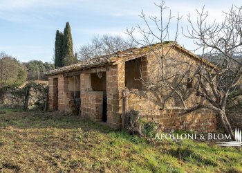 Rustico Città della Pieve - foto 21