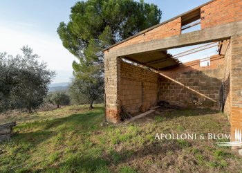 Rustico Città della Pieve - foto 24