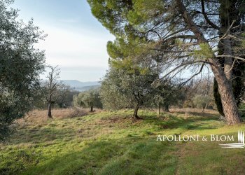 Rustico Città della Pieve - foto 26