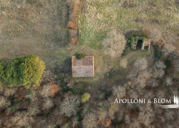 Rustico Città della Pieve - foto 30