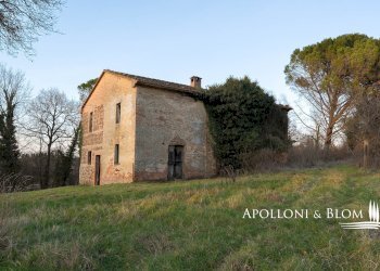 Rustico Città della Pieve - foto 31