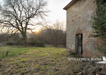 Rustico Città della Pieve - foto 33