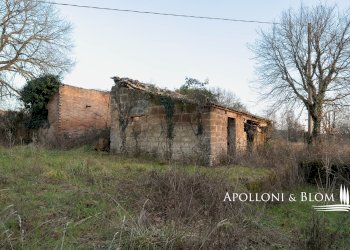 Rustico Città della Pieve - foto 35