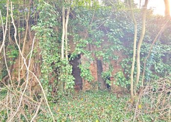 Rustico Via valmala, Mondaino - foto 8