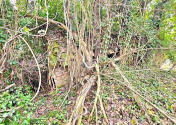 Rustico Via valmala, Mondaino - foto 10