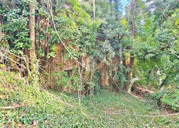 Rustico Via valmala, Mondaino - foto 12