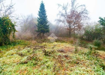 Casa indipendente Via Canova Pogliani, Leini - foto 29