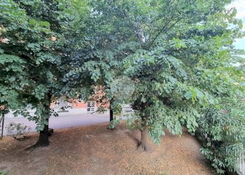 Trilocale Via Lorenteggio, Milano (zona Giambellino) - foto 14