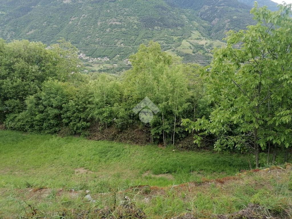 Agricultural land Frazione Entrebin, Aosta - photo 1