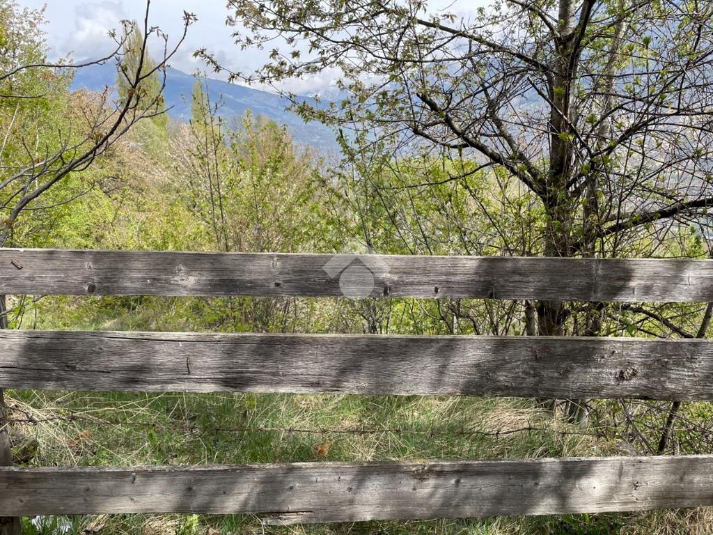 Agricultural land Frazione Entrebin, Aosta - photo 3