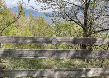 Agricultural land Frazione Entrebin, Aosta - photo 3