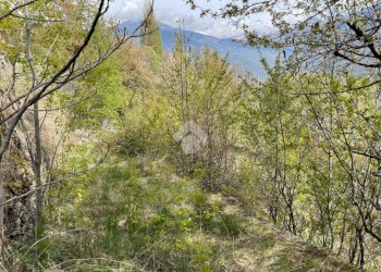Agricultural land Frazione Entrebin, Aosta - photo 4