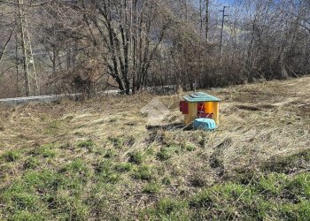Agricultural land Frazione Entrebin, Aosta - photo 15
