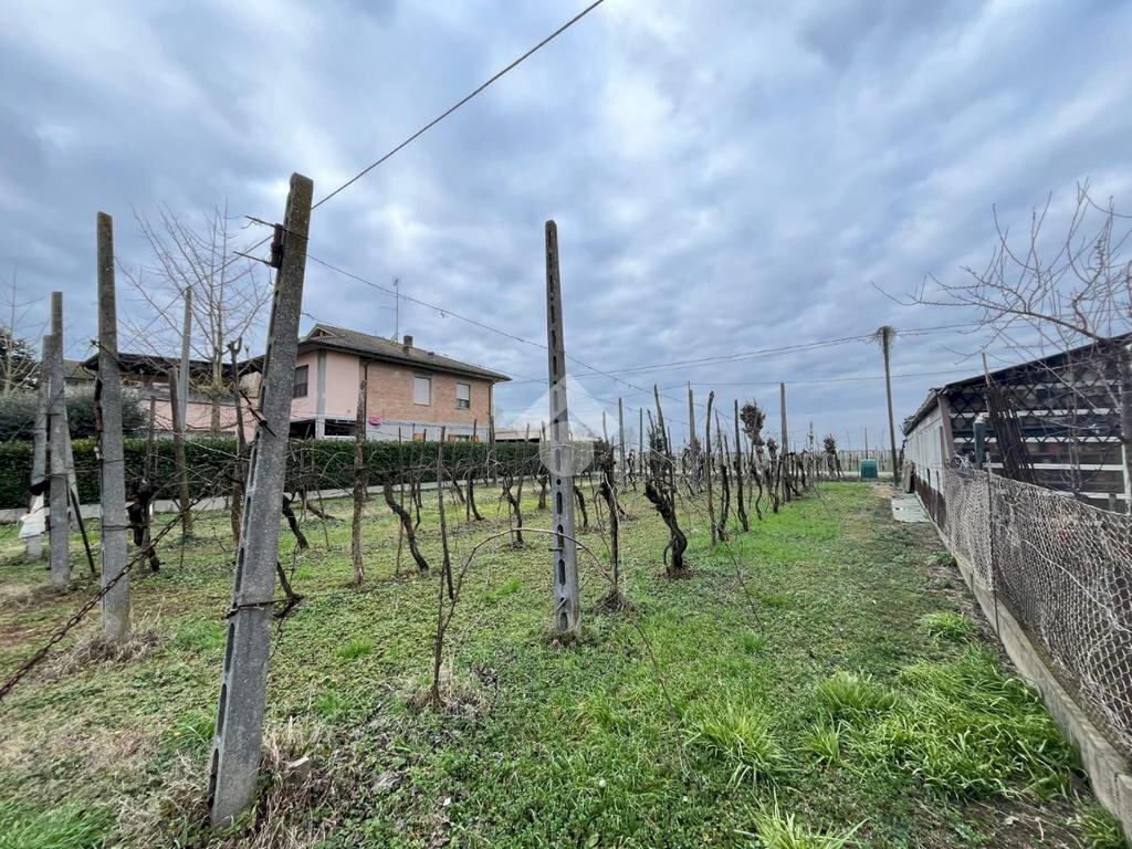 Agricultural land Via Dino Ravaioli, Ravenna (neighborhood Santo Stefano) - photo 2