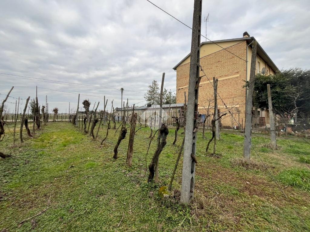 Agricultural land Via Dino Ravaioli, Ravenna (neighborhood Santo Stefano) - photo 3