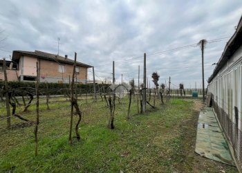 Agricultural land Via Dino Ravaioli, Ravenna (neighborhood Santo Stefano) - photo 1