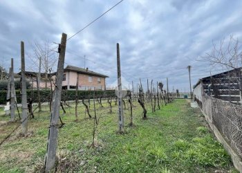 Agricultural land Via Dino Ravaioli, Ravenna (neighborhood Santo Stefano) - photo 2