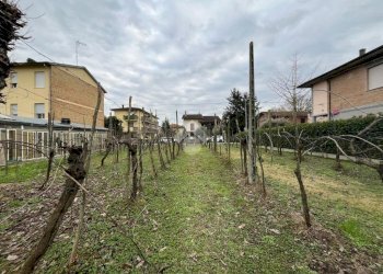 Agricultural land Via Dino Ravaioli, Ravenna (neighborhood Santo Stefano) - photo 4