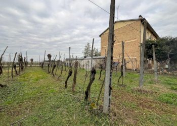 Agricultural land Via Dino Ravaioli, Ravenna (neighborhood Santo Stefano) - photo 3