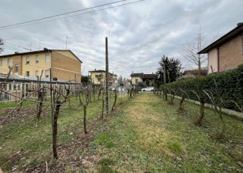 Agricultural land Via Dino Ravaioli, Ravenna (neighborhood Santo Stefano) - photo 5