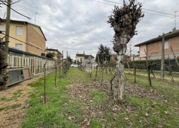 Agricultural land Via Dino Ravaioli, Ravenna (neighborhood Santo Stefano) - photo 6
