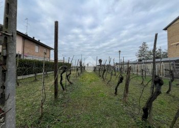 Agricultural land Via Dino Ravaioli, Ravenna (neighborhood Santo Stefano) - photo 8