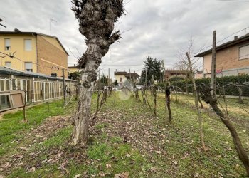 Agricultural land Via Dino Ravaioli, Ravenna (neighborhood Santo Stefano) - photo 10