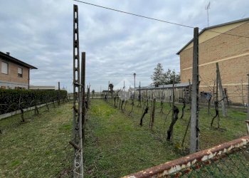 Agricultural land Via Dino Ravaioli, Ravenna (neighborhood Santo Stefano) - photo 11