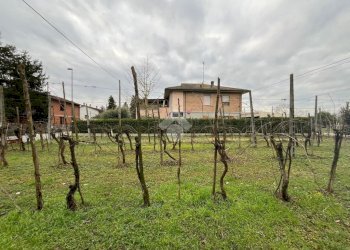 Agricultural land Via Dino Ravaioli, Ravenna (neighborhood Santo Stefano) - photo 15