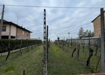Agricultural land Via Dino Ravaioli, Ravenna (neighborhood Santo Stefano) - photo 16