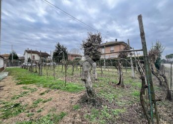 Agricultural land Via Dino Ravaioli, Ravenna (neighborhood Santo Stefano) - photo 17