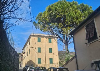 Foto 20 - Apartment Salita Di Granarolo, Genova - photo 20