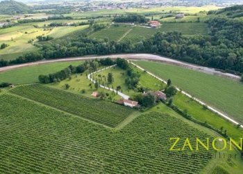 Foto 13 - Stabile - Palazzo Località Venco', Dolegna del Collio - foto 13