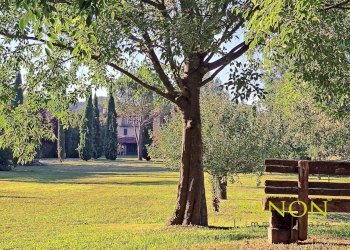 Foto 45 - Stabile - Palazzo Località Venco', Dolegna del Collio - foto 45