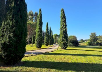 Foto 47 - Stabile - Palazzo Località Venco', Dolegna del Collio - foto 47