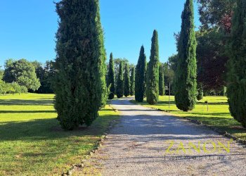 Foto 49 - Stabile - Palazzo Località Venco', Dolegna del Collio - foto 49