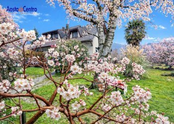 Foto 18 - Casa indipendente Frazione Campore Grangia
 
16, Cuorgnè - foto 18