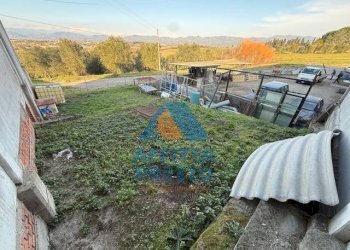 Foto 8 - Capannone Cerreto Guidi - foto 8