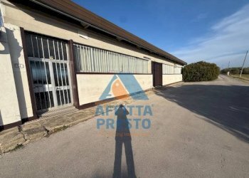 Foto 15 - Capannone Cerreto Guidi - foto 15