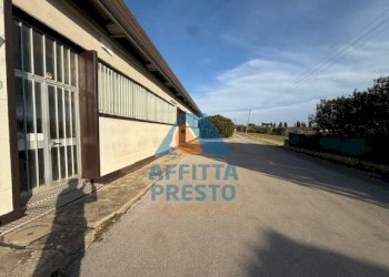 Foto 16 - Capannone Cerreto Guidi - foto 16