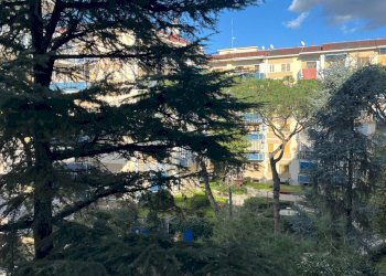 Foto 28 - Appartamento Via Manzoni, San Giorgio a Cremano - foto 28