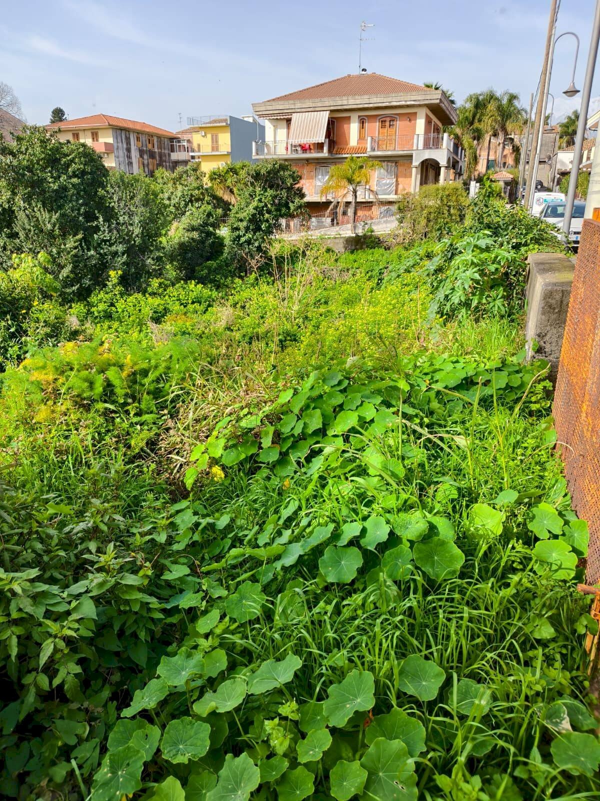 Giardino - Terreno edificabile Via Trento
 
snc, Acireale - foto 2