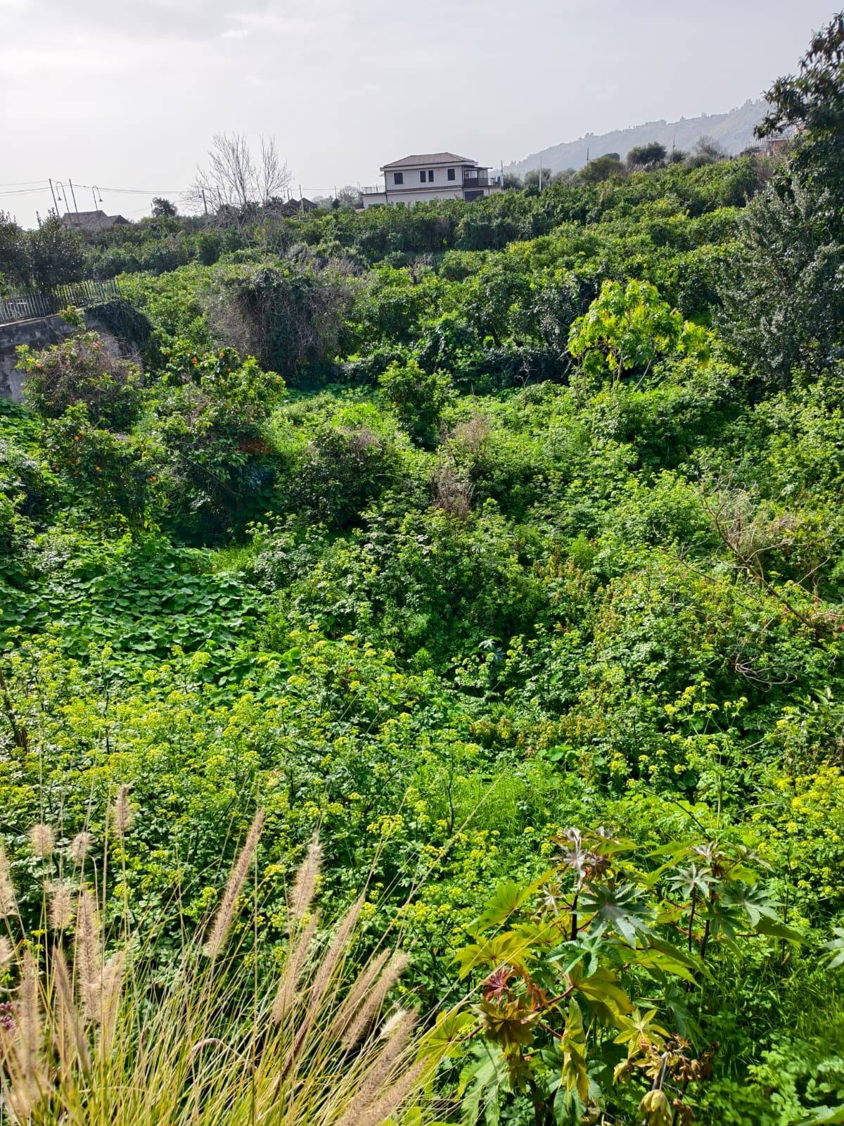 Giardino - Terreno edificabile Via Trento
 
snc, Acireale - foto 3