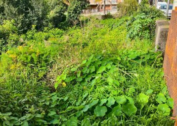 Giardino - Terreno edificabile Via Trento
snc, Acireale - foto 2