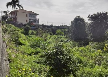Giardino - Terreno edificabile Via Trento
snc, Acireale - foto 4