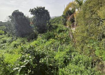 Giardino - Terreno edificabile Via Trento
snc, Acireale - foto 6