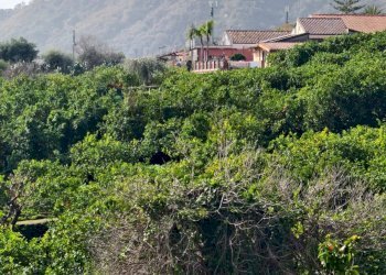 Vista delle montagne - Terreno edificabile Via Trento
snc, Acireale - foto 7