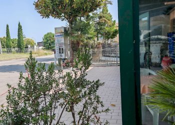 Terrazza - Commercial Activity Recanati - photo 35